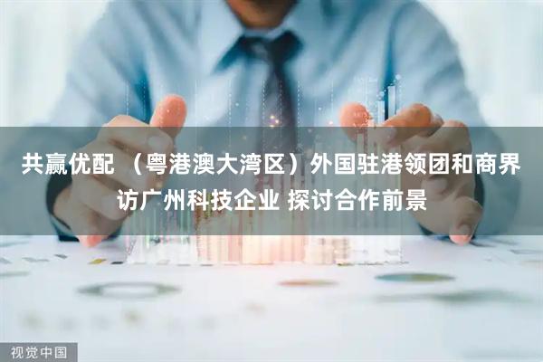共赢优配 （粤港澳大湾区）外国驻港领团和商界访广州科技企业 探讨合作前景