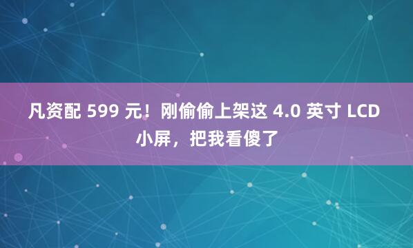 凡资配 599 元！刚偷偷上架这 4.0 英寸 LCD 小屏，把我看傻了