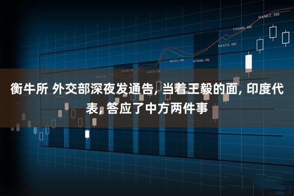 衡牛所 外交部深夜发通告, 当着王毅的面, 印度代表, 答应了中方两件事