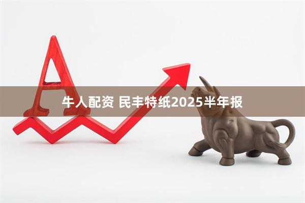 牛人配资 民丰特纸2025半年报