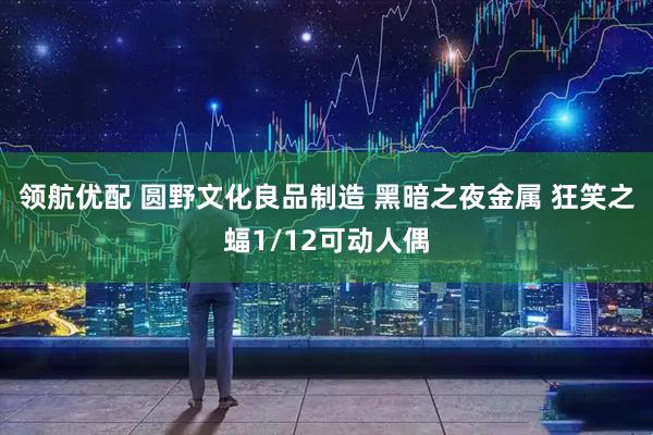 领航优配 圆野文化良品制造 黑暗之夜金属 狂笑之蝠1/12可动人偶