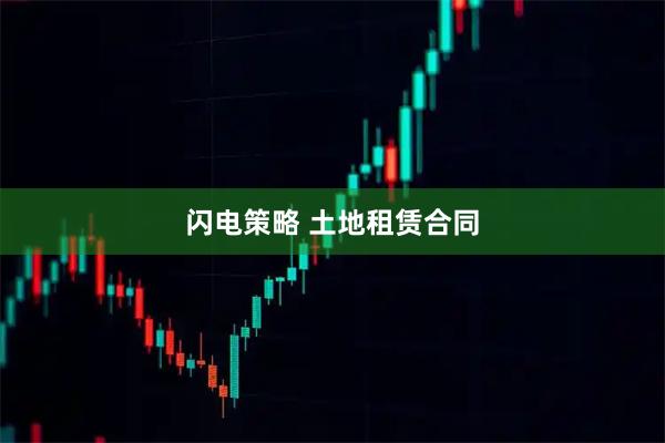 闪电策略 土地租赁合同