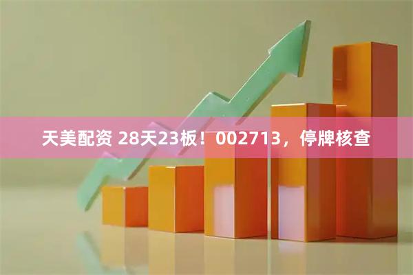 天美配资 28天23板!002713,停牌核查