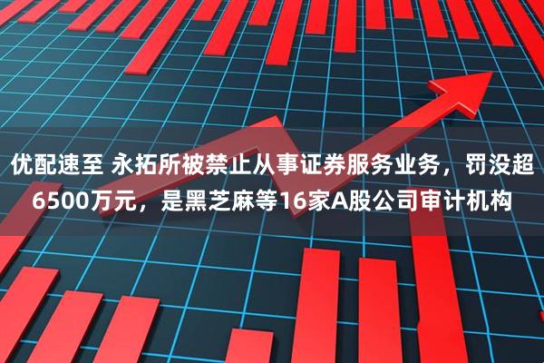 优配速至 永拓所被禁止从事证券服务业务,罚没超6500万元,是黑芝麻等16家A股公司审计机构